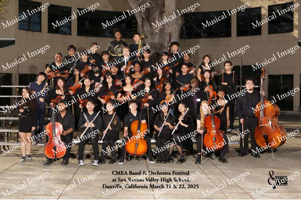 Musical Images